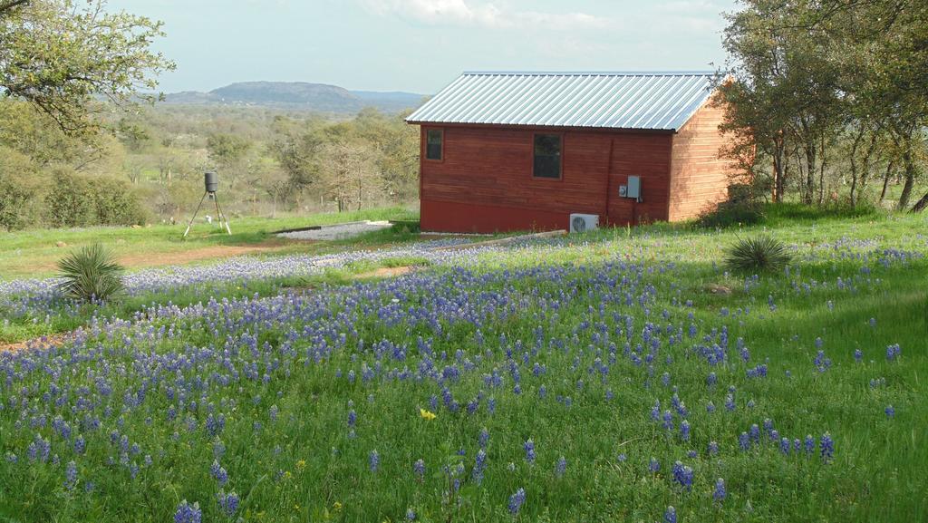 Texas T Bed And Breakfast Llano Extérieur photo